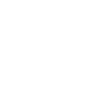 ys-icon2